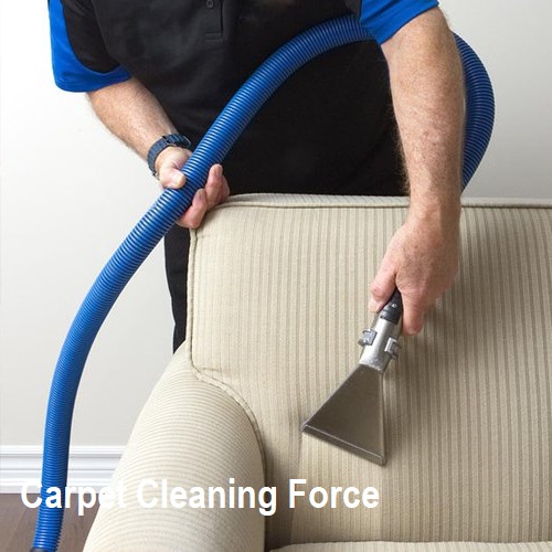 Carpet Foam - Carpet and Upholstery Cleaner - Cleaning Ideas