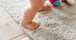 Carpet Cleaning Chronicles: Finding the Perfect Time to Refresh My Floors