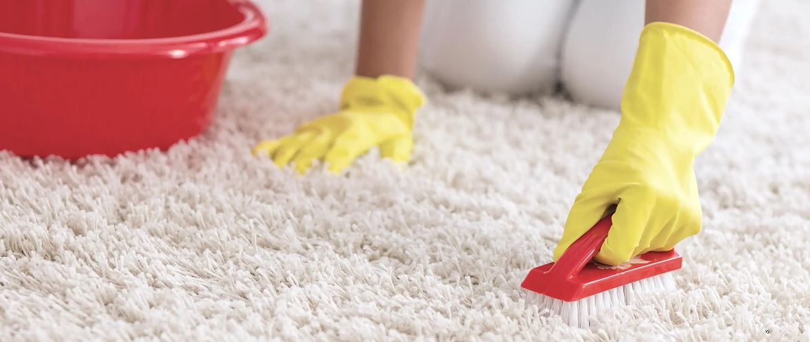 How To Dry Clean Carpet At Home  How to Clean Sisal Carpet 