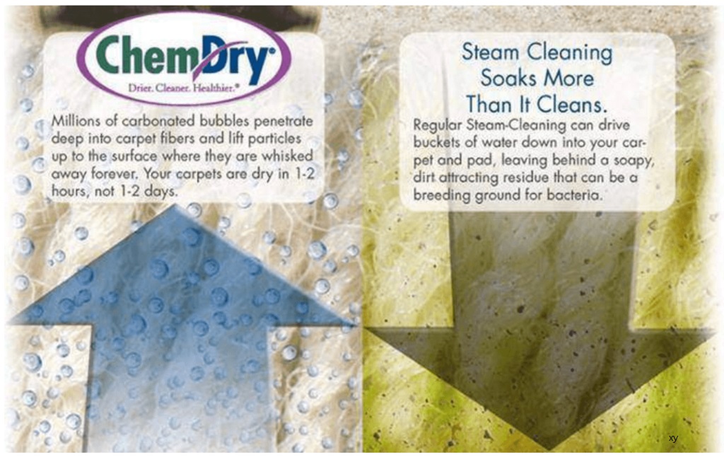 Chem-Dry vs Steam Cleaning  What's the Best Carpet Cleaning?