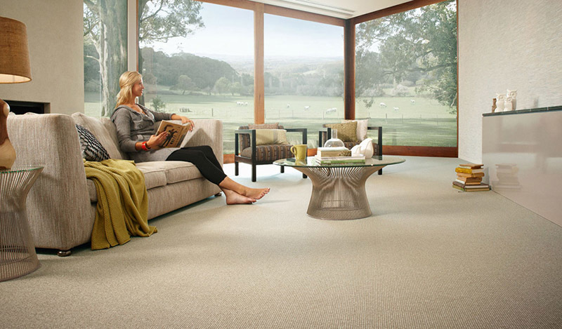 Unlocking the Secrets of Home Care: Is Carpet Cleaning Necessary?