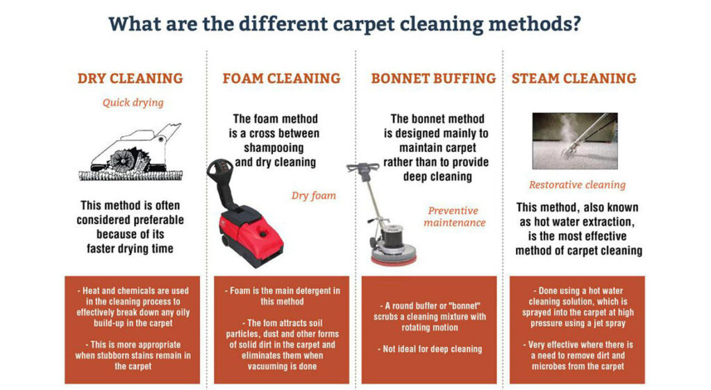 Unraveling My Journey Through Various Carpet-Cleaning Methods