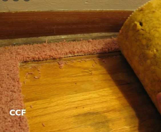 How to remove carpet